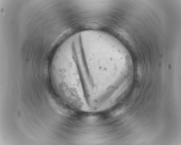 X0000088650312200706152014