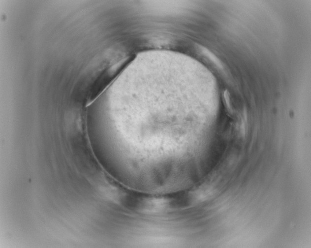 X0000088650313200706152014