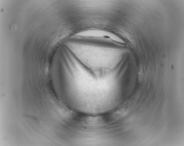 X0000088650314200706152014