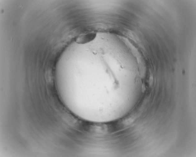 X0000088650317200706152014