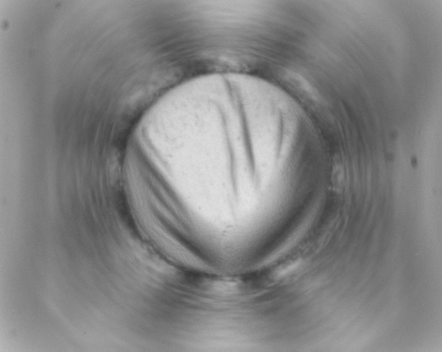 X0000088650318200706152014