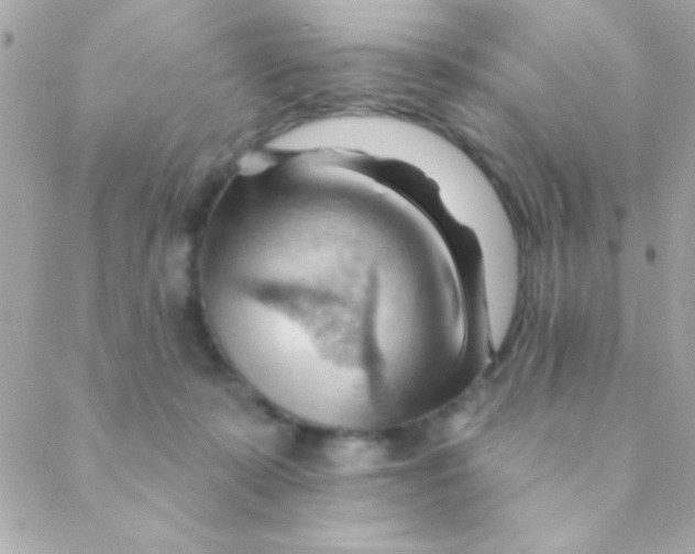 X0000088650319200706152014