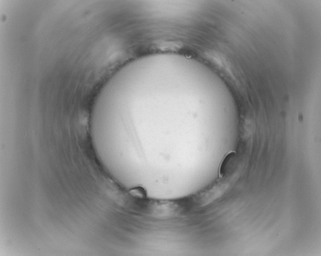 X0000088650321200706152014