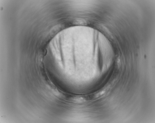 X0000088650322200706152014