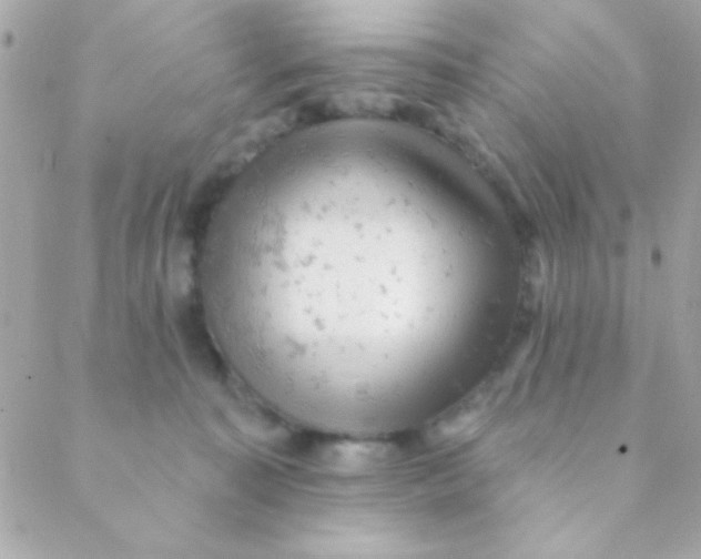 X0000088650323200706152014