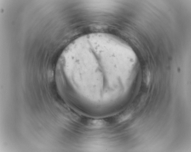 X0000088650324200706152014