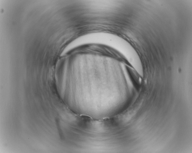 X0000088650325200706152014