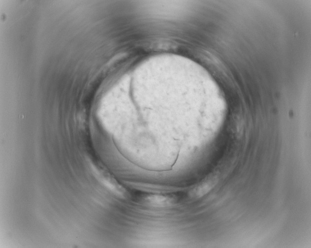 X0000088650326200706152014