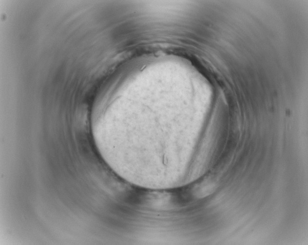 X0000088650328200706152014