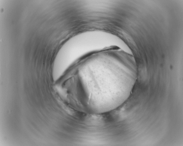 X0000088650329200706152014