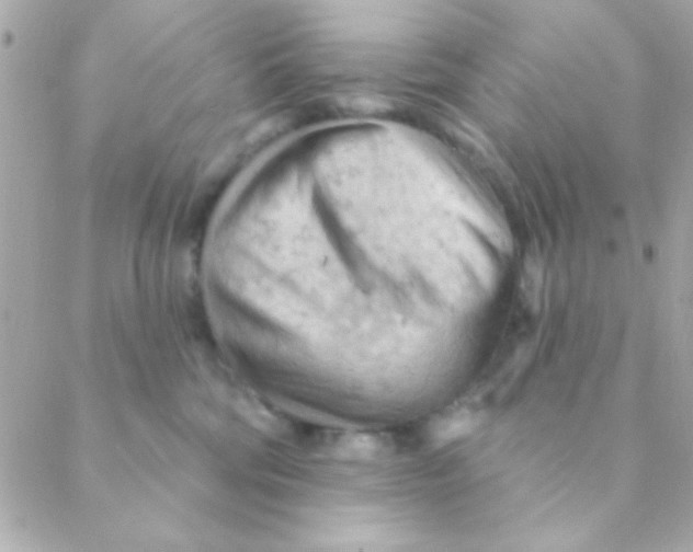 X0000088650330200706152014