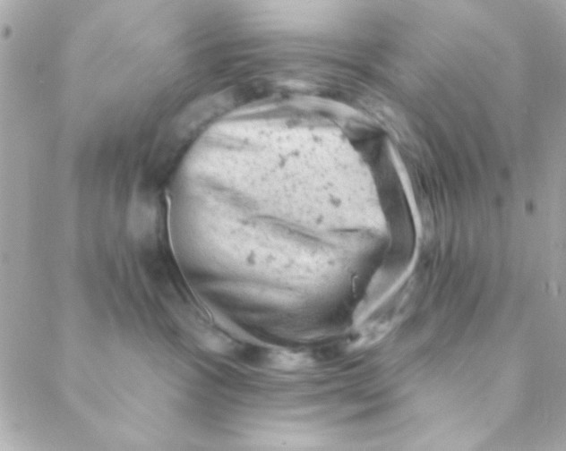 X0000088650333200706152014