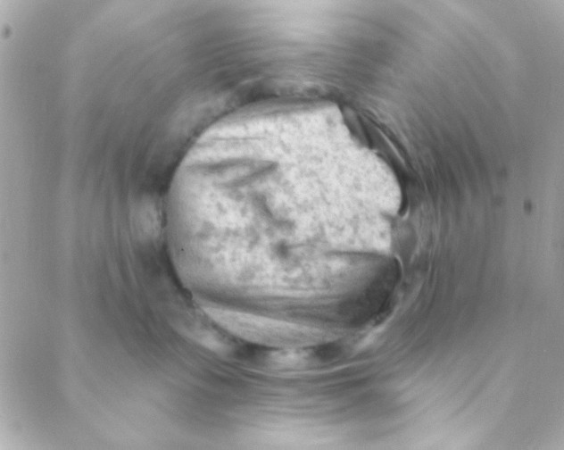 X0000088650335200706152014