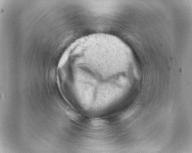 X0000088650336200706152014