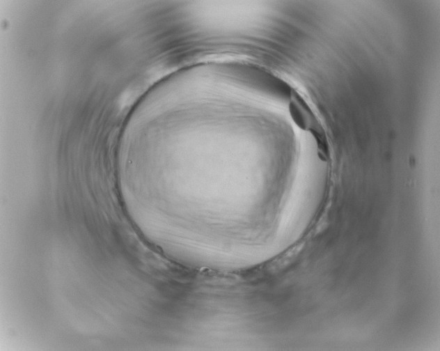 X0000088650337200706152013