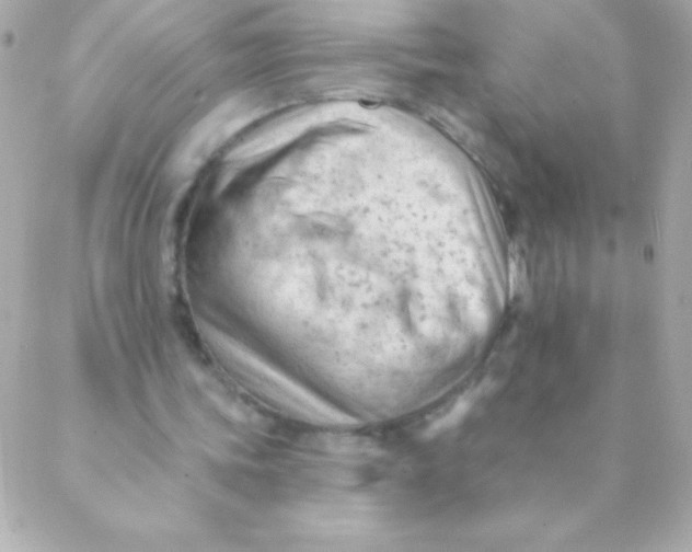 X0000088650339200706152013