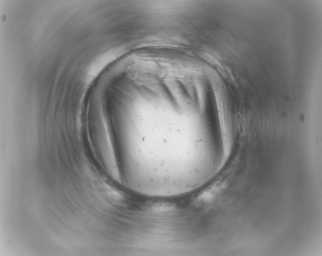 X0000088650340200706152013