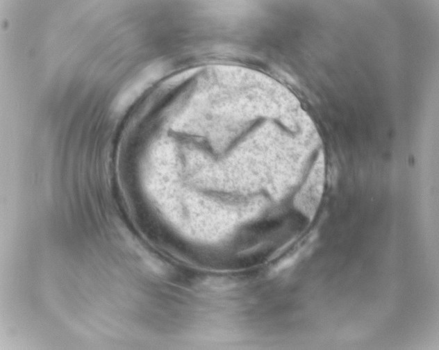 X0000088650341200706152013