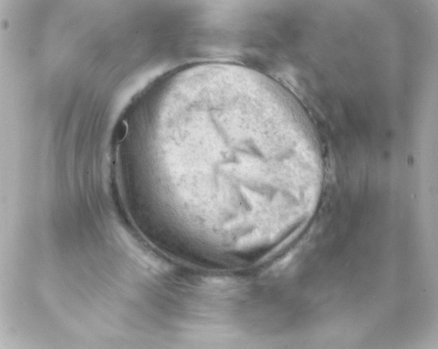 X0000088650342200706152013