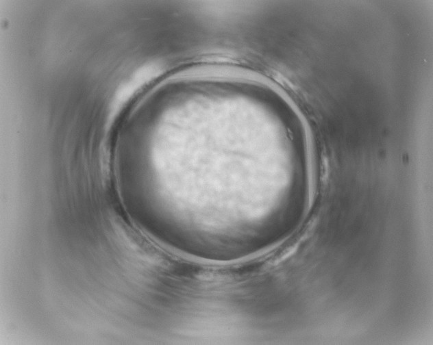 X0000088650343200706152013