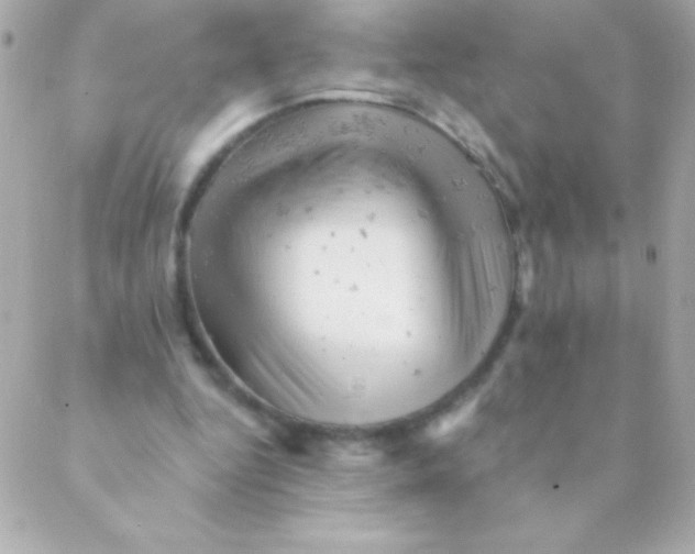 X0000088650344200706152013