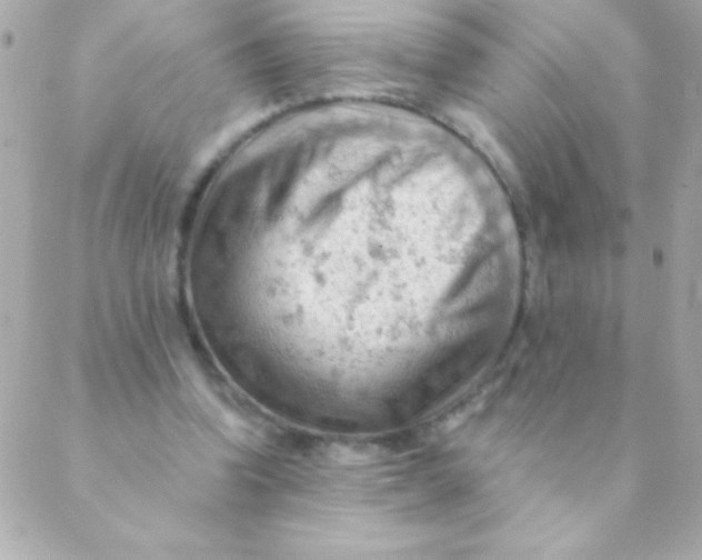 X0000088650346200706152013