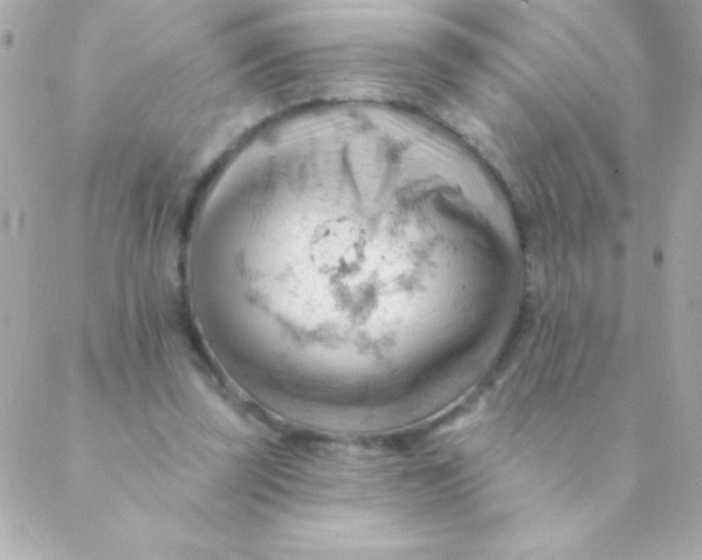 X0000088650347200706152013