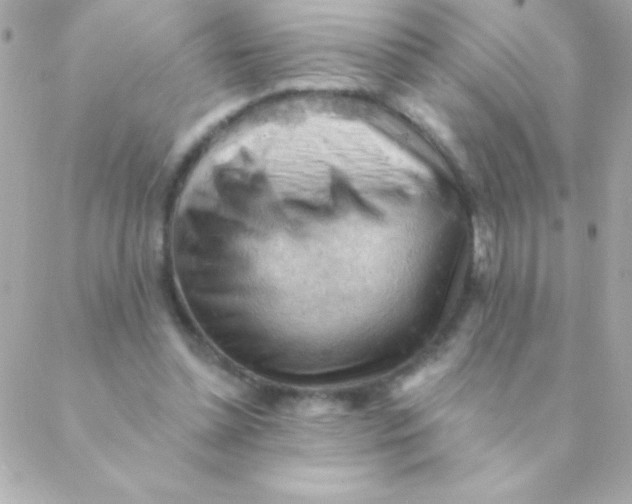 X0000088650348200706152013