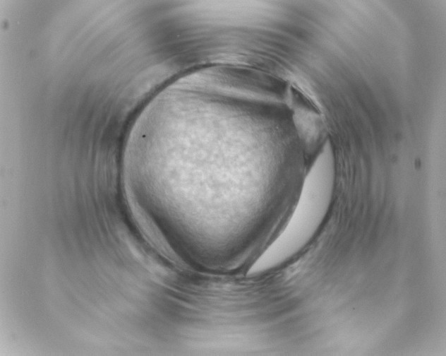 X0000088650349200706152013