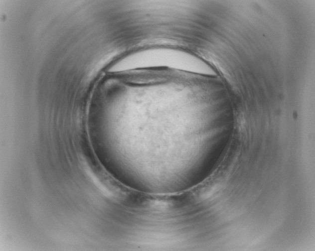 X0000088650352200706152013