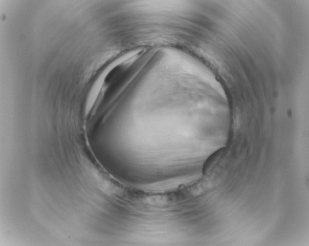 X0000088650353200706152013