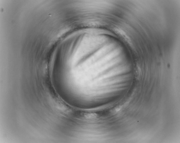 X0000088650355200706152013