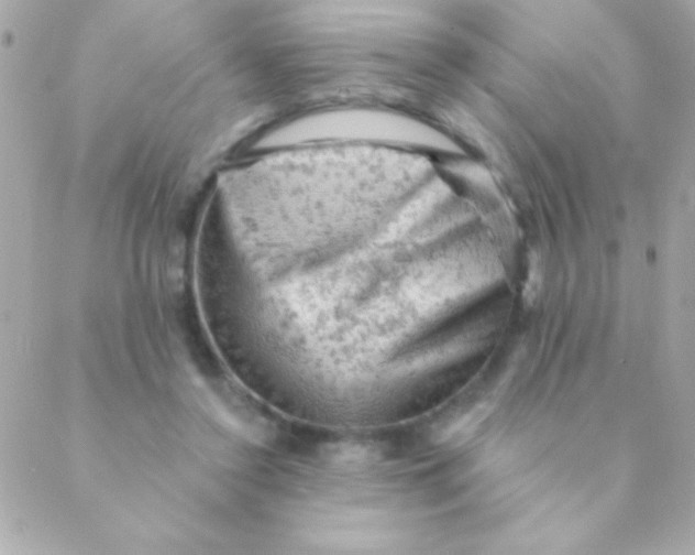 X0000088650356200706152013