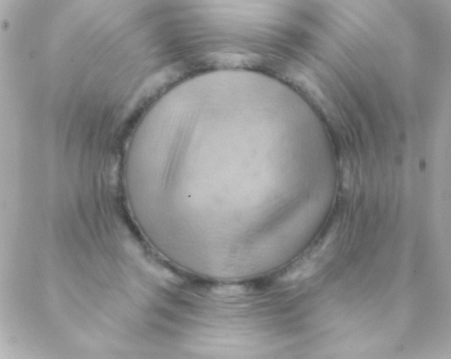 X0000088650357200706152013