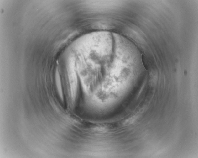 X0000088650358200706152013