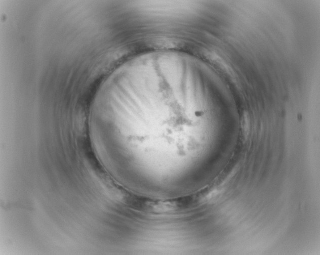 X0000088650359200706152013