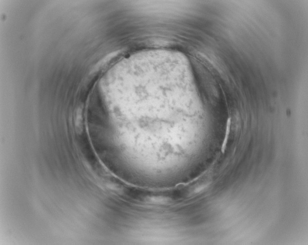 X0000088650360200706152013