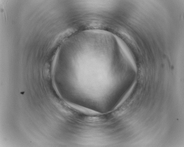 X0000088650361200706152013