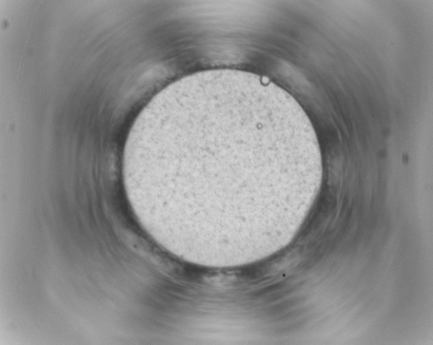 X0000088650362200706152013