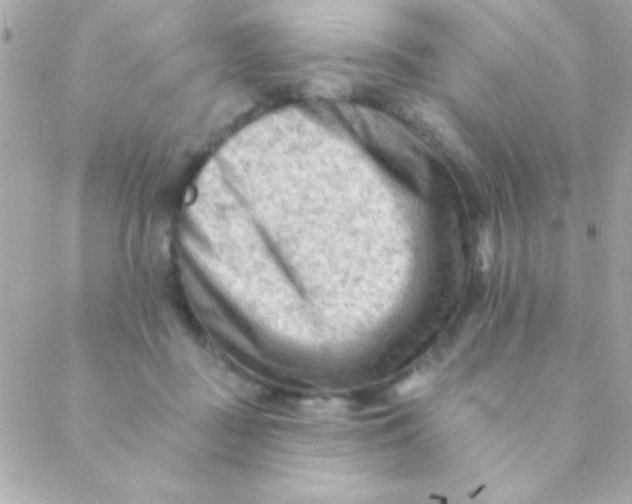 X0000088650363200706152013