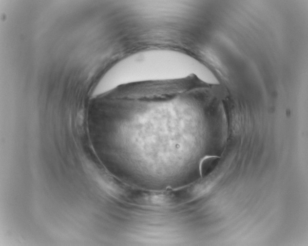 X0000088650365200706152013