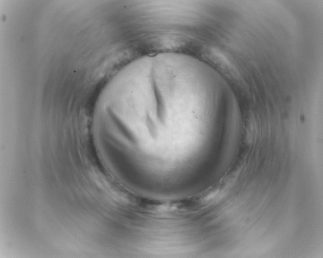 X0000088650366200706152013