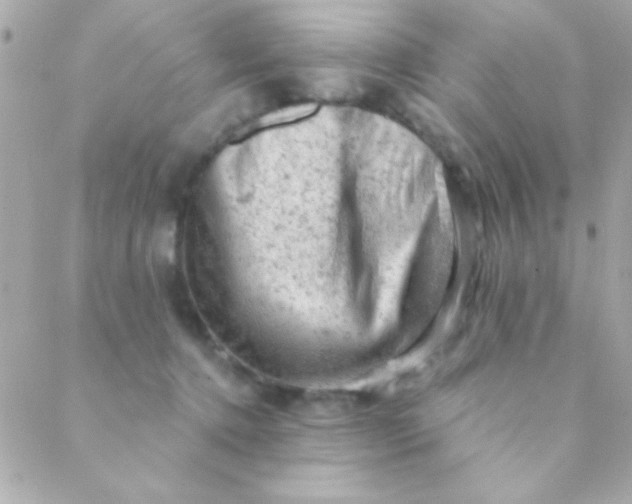 X0000088650368200706152013