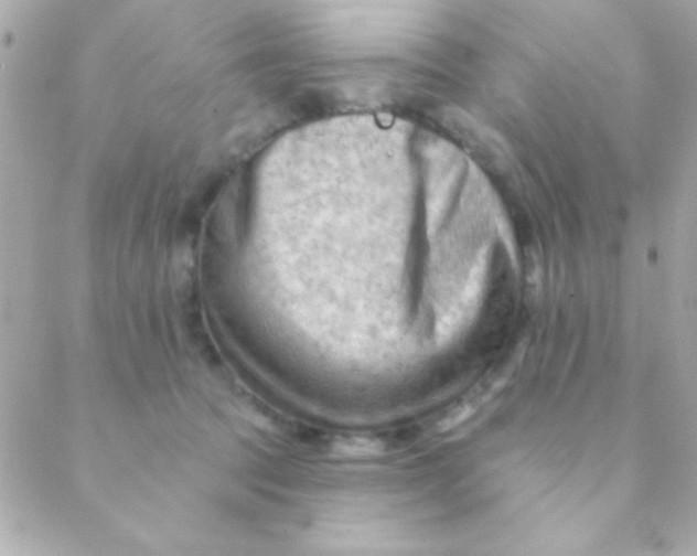 X0000088650369200706152013