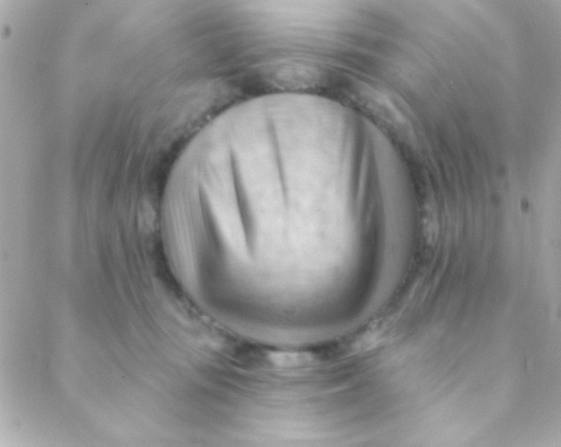 X0000088650371200706152013