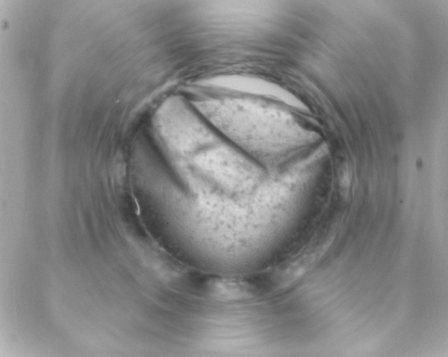 X0000088650372200706152013