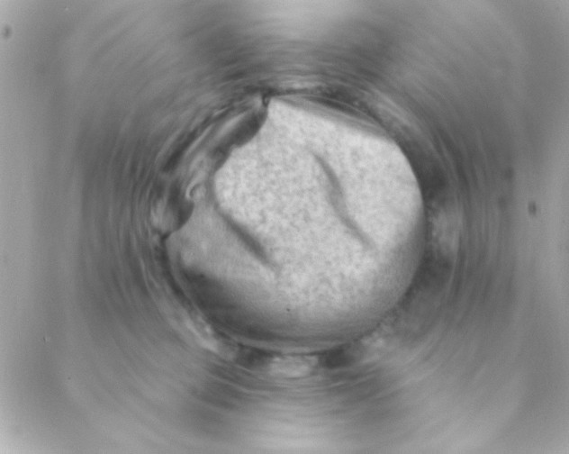 X0000088650373200706152013