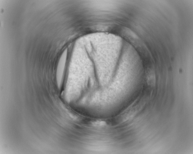 X0000088650374200706152013