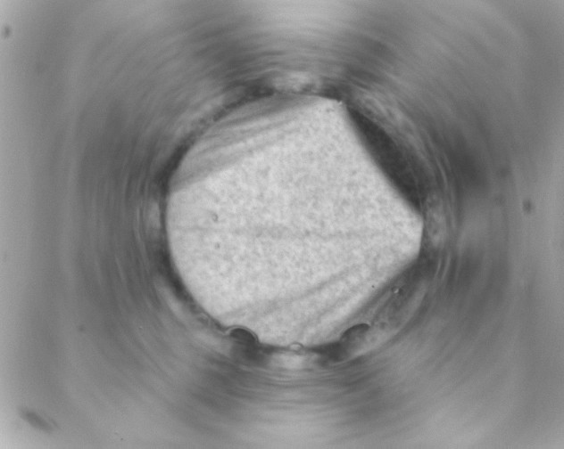 X0000088650375200706152013