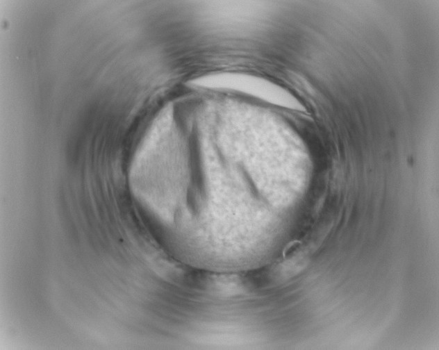 X0000088650377200706152013